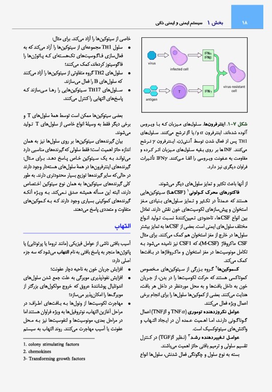 ایمونولوژی رویت 2021 دکتر کیهانی