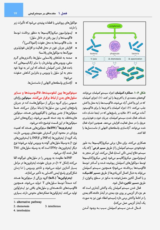 ایمونولوژی رویت 2021 دکتر کیهانی
