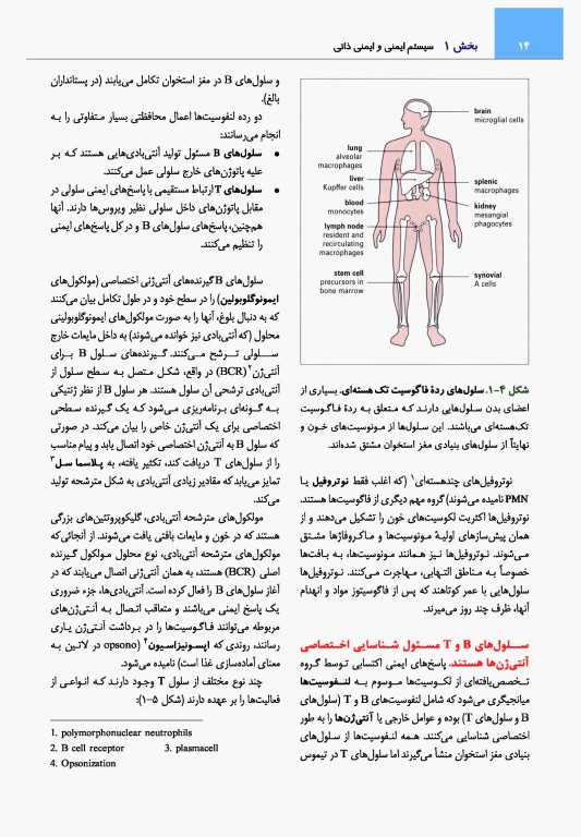 ایمونولوژی رویت 2021 دکتر کیهانی