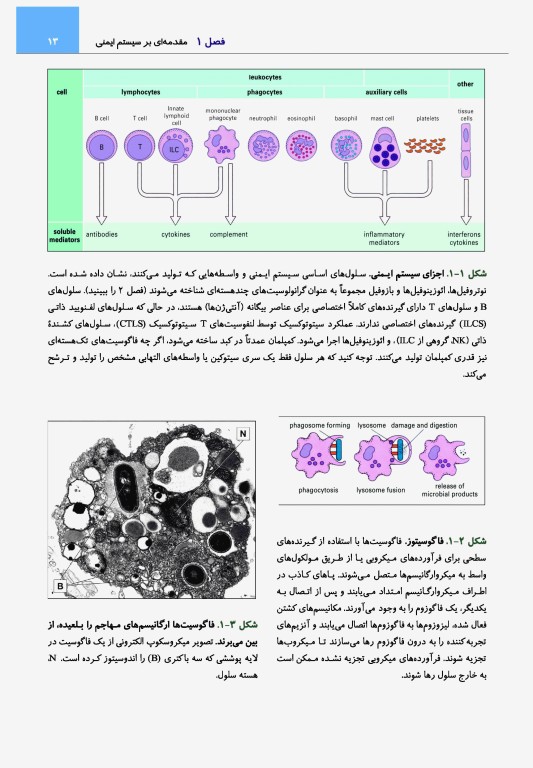 ایمونولوژی رویت 2021 دکتر کیهانی