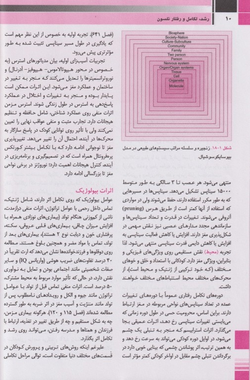 طب کودکان نلسون 2020 رشد تکامل و رفتار