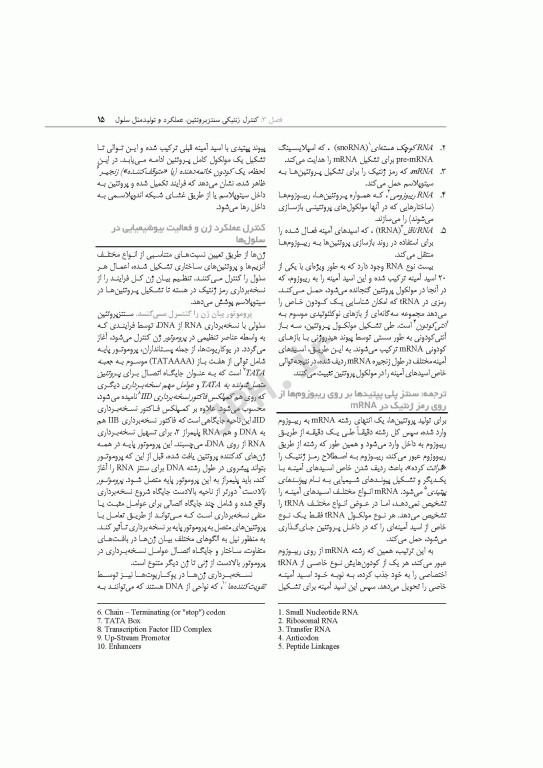 چکیده‌ی فیزیولوژی پزشکی گایتون و هال 2021 دکتر ارجمند