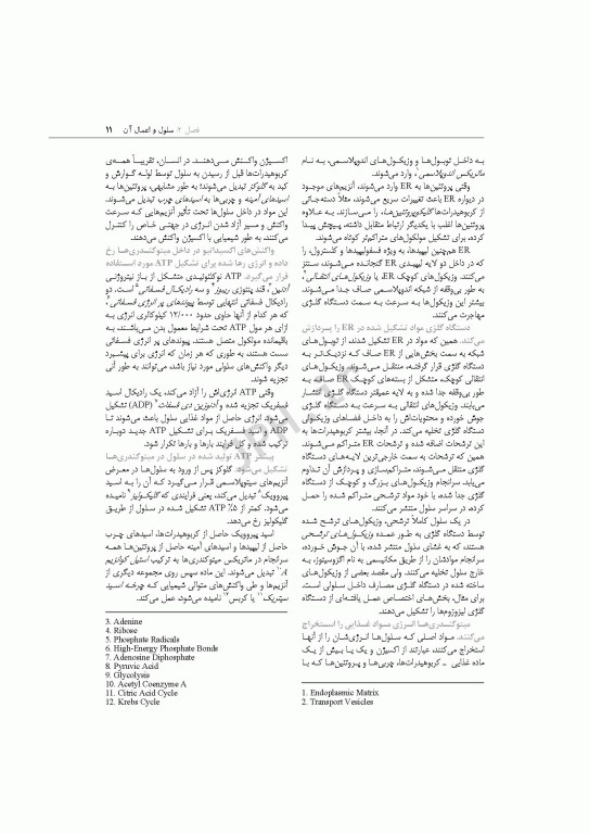 چکیده‌ی فیزیولوژی پزشکی گایتون و هال 2021 دکتر ارجمند