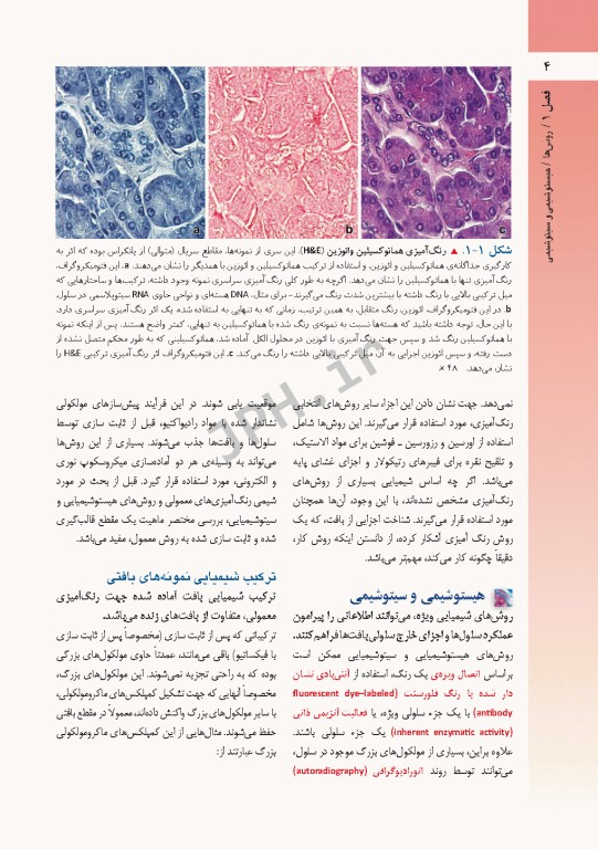 بافت‌‎شناسی راس 2016 جلد اول بافت‌شناسی‌ عمومی جغتایی