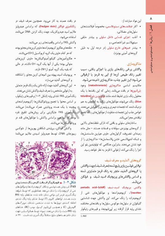 بافت‌‎شناسی راس 2016 جلد اول بافت‌شناسی‌ عمومی جغتایی