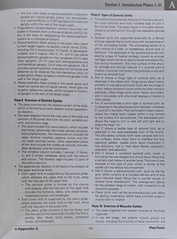 اطلس آناتومی نتر ویرایش هشتم 2023 گلاسه با قاب نفیس | 2023 Atlas of Human Anatomy Netter