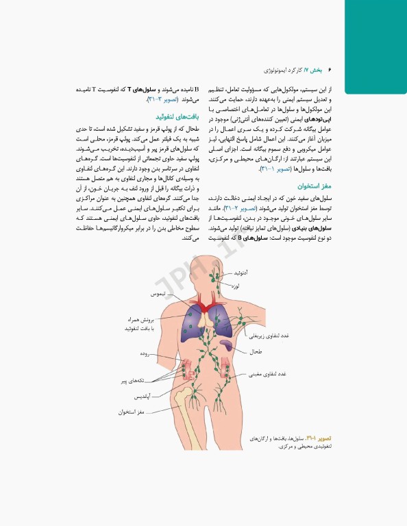 پرستاری داخلی و جراحی برونر و سودارث 2022 جلد7 ایمونولوژی