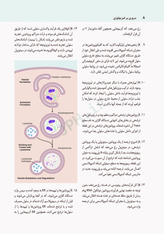 مروری بر سوالات فیزیولوژی گایتون و هال 2016 جلد هارد و چاپ تمام رنگی