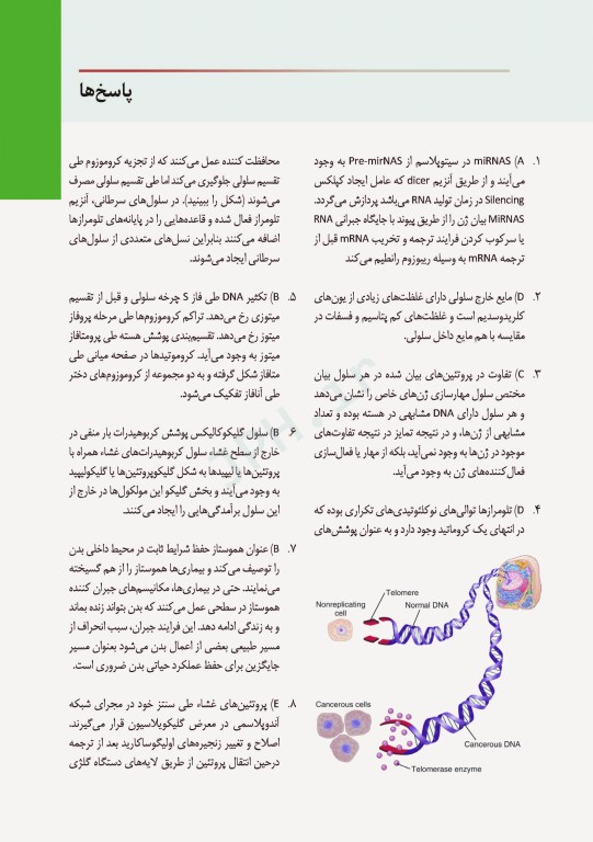 مروری بر سوالات فیزیولوژی گایتون و هال 2016 جلد هارد و چاپ تمام رنگی