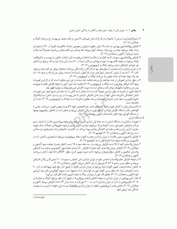 کوریکولوم اصلی پرستاری مراقبت‌های ویژه نوزادان NICU ویراست ششم 2021