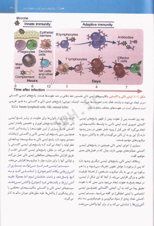 ایمونولوژی سلولی و مولکولی ابوالعباس 2022 دکتر فرید حسینی