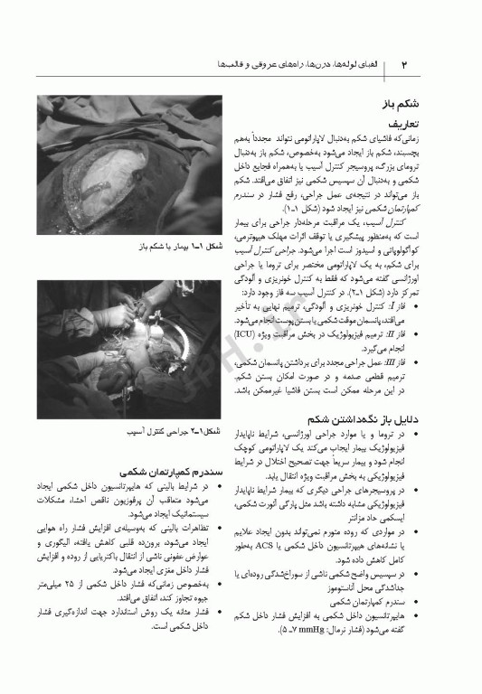 الفبای لوله‌ها‏‏، درن‌ها راه‌های عروقی و قالب‌ها آدام برکلز