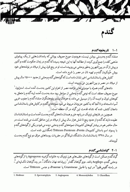 مقدمه‌ای بر تکنولوژی فرآورده‌های غلات