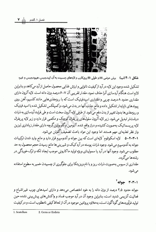 مقدمه‌ای بر تکنولوژی فرآورده‌های غلات