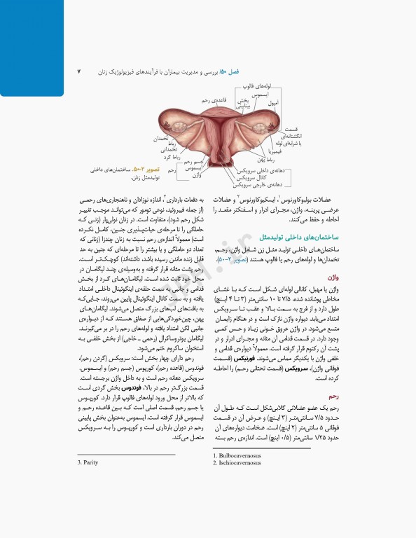 پرستاری داخلی و جراحی برونر و سودارث 2022 جلد12 تولید مثل