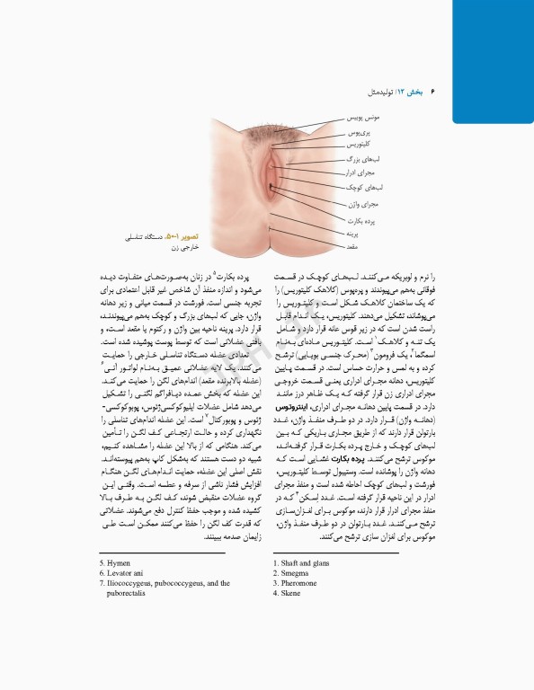 پرستاری داخلی و جراحی برونر و سودارث 2022 جلد12 تولید مثل