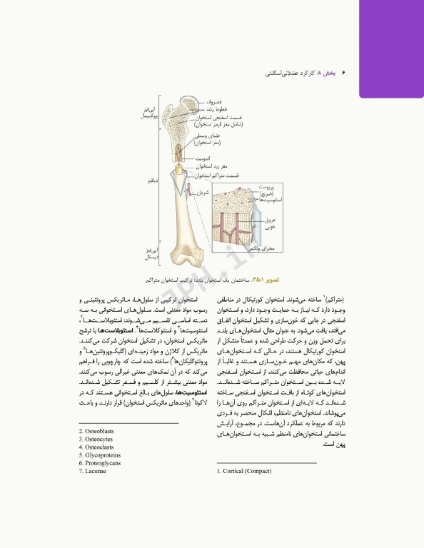 پرستاری داخلی و جراحی برونر و سودارث 2022 جلد8 ارتوپدی