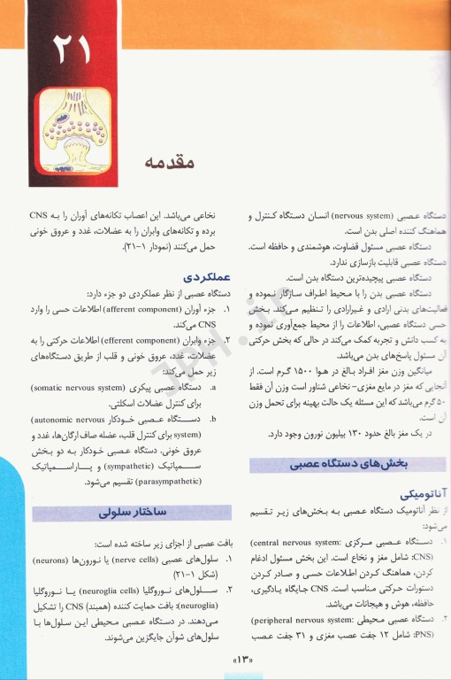 آناتومی انسان چوراسیا جلد4 نوروآناتومی دکتر رضا شیرازی