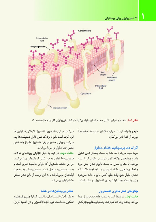 فیزیولوژی برای پرستاران دکتر فرناز نیکبخت