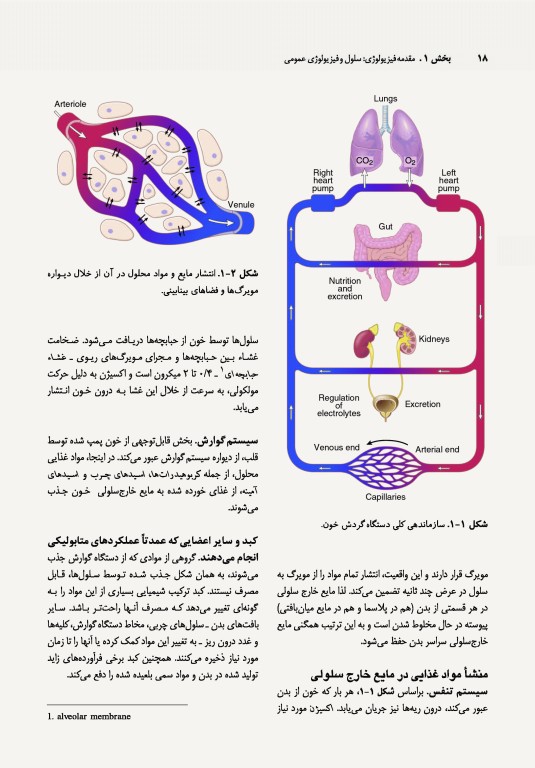 فیزیولوژی پزشکی گایتون و هال 2021 جلد اول نشر ارجمند
