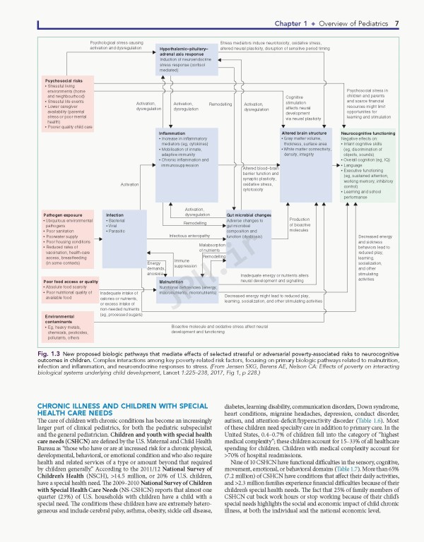نوزادان نلسون 2019 | Nelson Textbook of Pediatrics 4-Volume Set