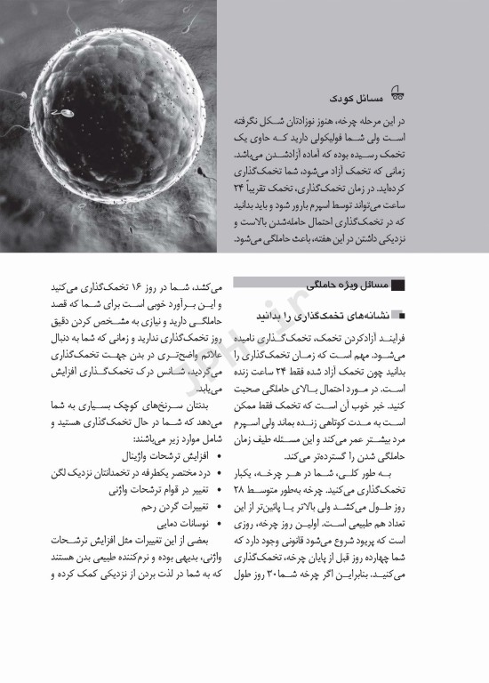 راهنمای کامل بارداری راهنمای هفته به هفته