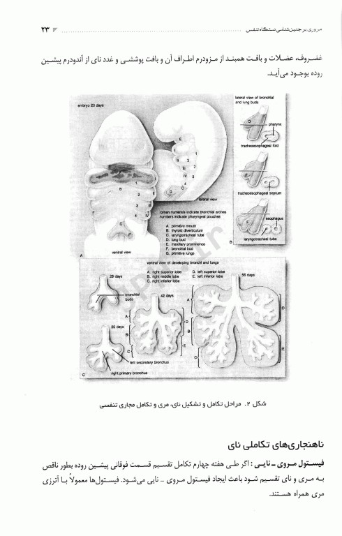 بیماری‌های تنفسی کودکان دکتر احمدشاه فرهت