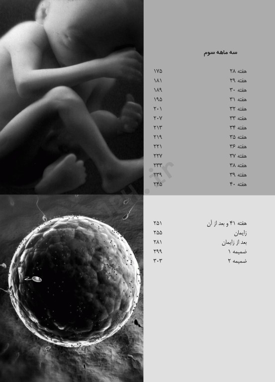 راهنمای کامل بارداری راهنمای هفته به هفته