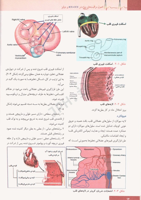 اصول مراقبتهای ویژه در ICU.CCU و دیالیز شیری و نیکروان