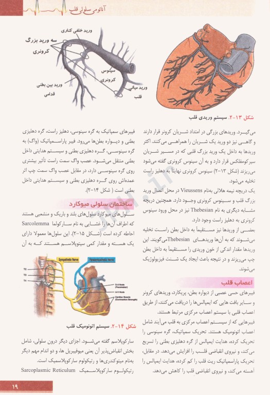 اصول مراقبتهای ویژه در ICU.CCU و دیالیز شیری و نیکروان