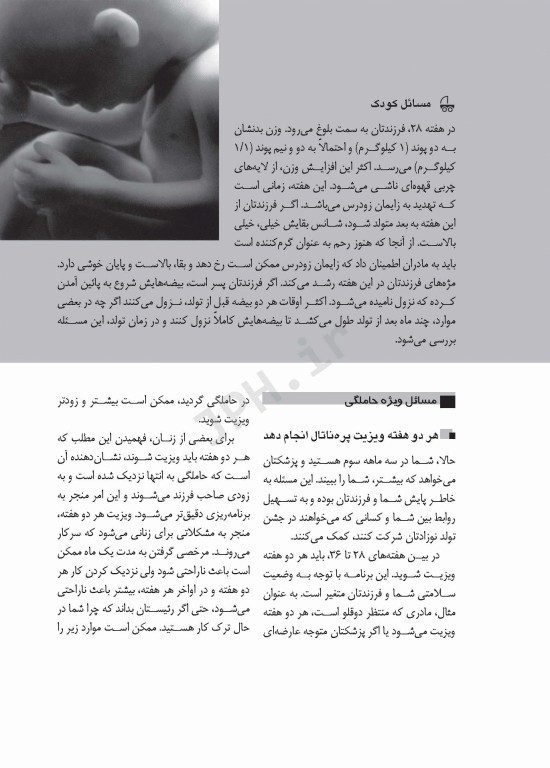 راهنمای کامل بارداری راهنمای هفته به هفته