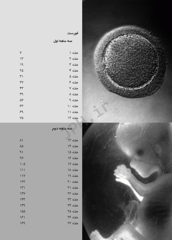 راهنمای کامل بارداری راهنمای هفته به هفته