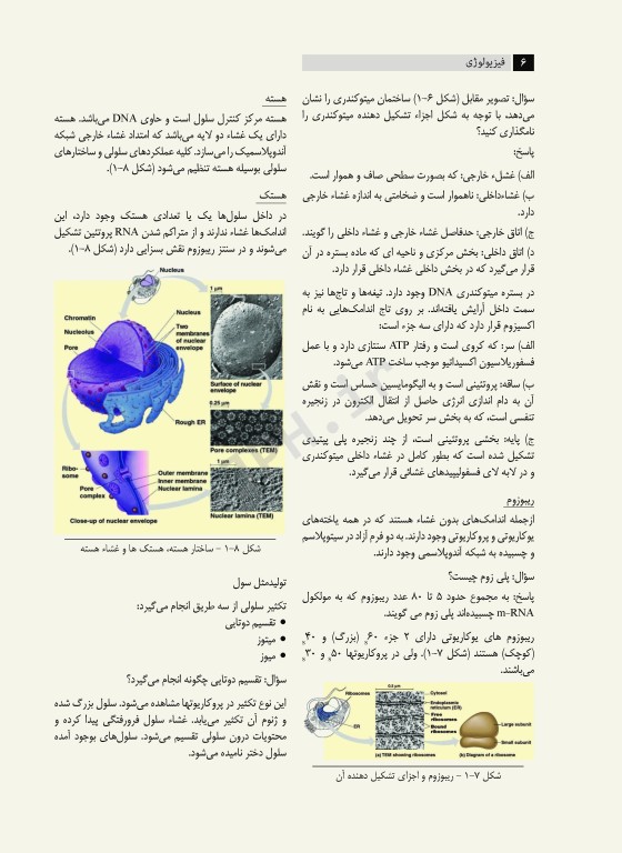 فیزیولوژی بر اساس سرفصل دروس