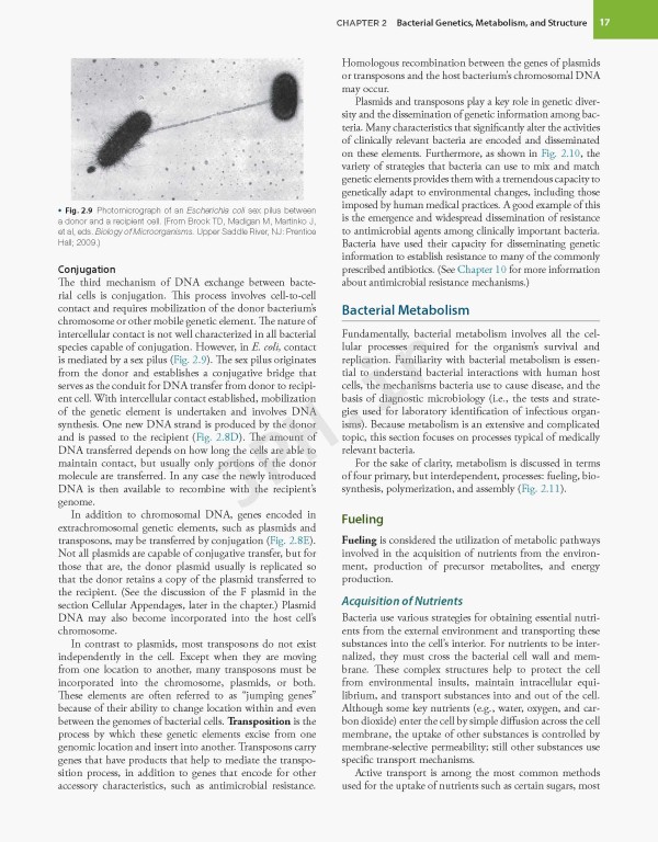 میکروب‌شناسی تشخیصی بیلی و اسکات ویراست پانزدهم | Bailey & Scott's Diagnostic Microbiology 2021