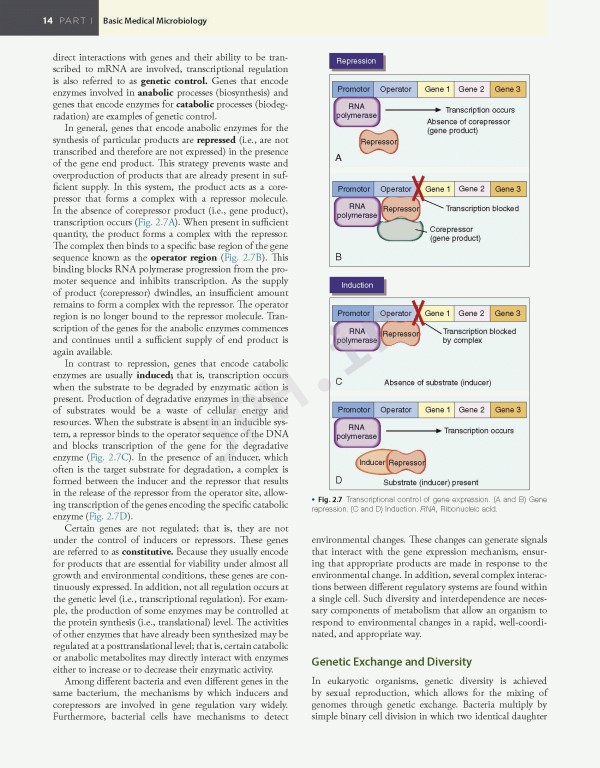 میکروب‌شناسی تشخیصی بیلی و اسکات ویراست پانزدهم | Bailey & Scott's Diagnostic Microbiology 2021