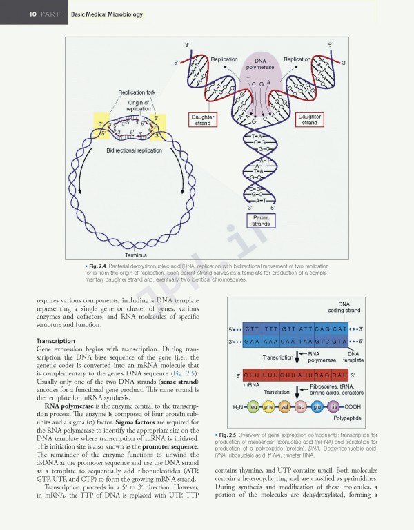 میکروب‌شناسی تشخیصی بیلی و اسکات ویراست پانزدهم | Bailey & Scott's Diagnostic Microbiology 2021