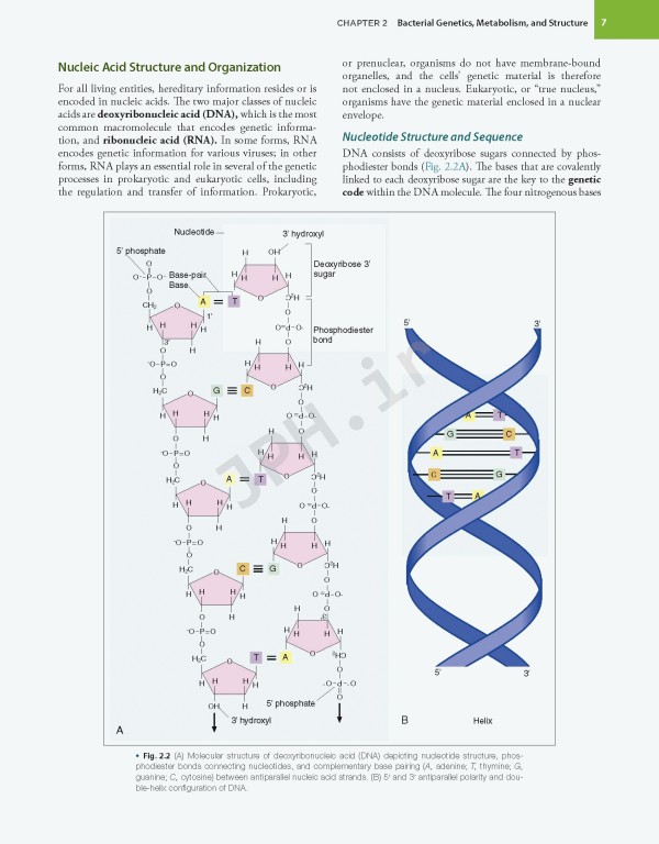 میکروب‌شناسی تشخیصی بیلی و اسکات ویراست پانزدهم | Bailey & Scott's Diagnostic Microbiology 2021