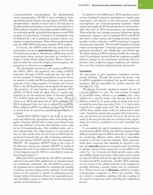 میکروب‌شناسی تشخیصی بیلی و اسکات ویراست پانزدهم | Bailey & Scott's Diagnostic Microbiology 2021