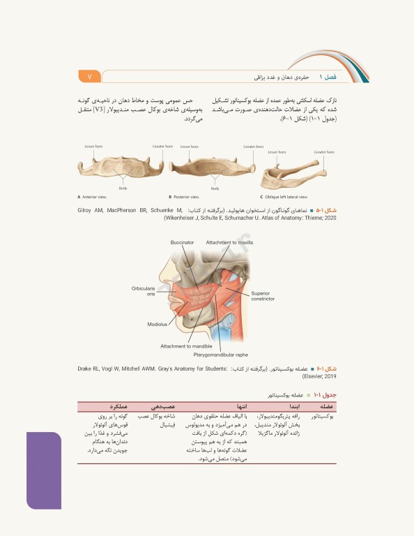 علوم تشریح برای دانشجویان پزشکی جلد6 دستگاه گوارش