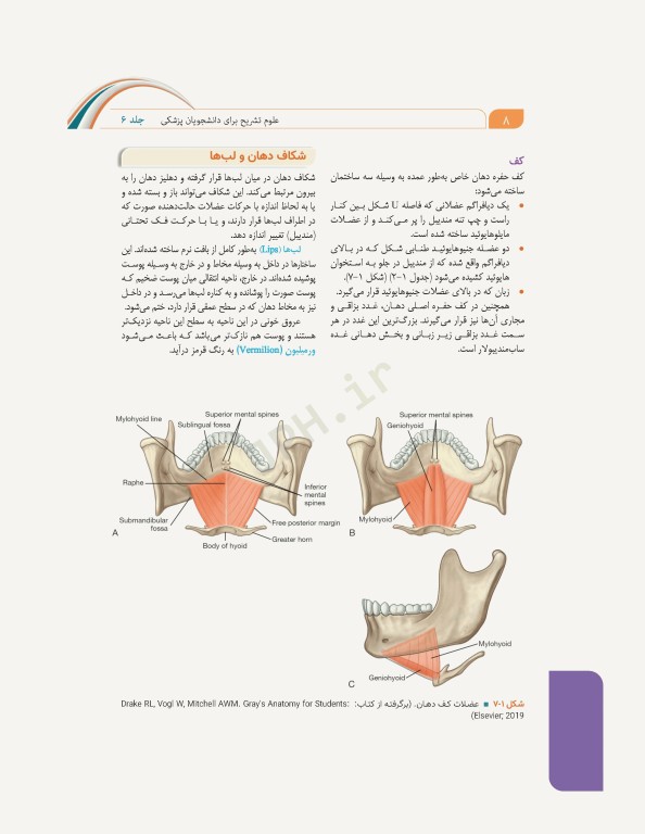 علوم تشریح برای دانشجویان پزشکی جلد6 دستگاه گوارش