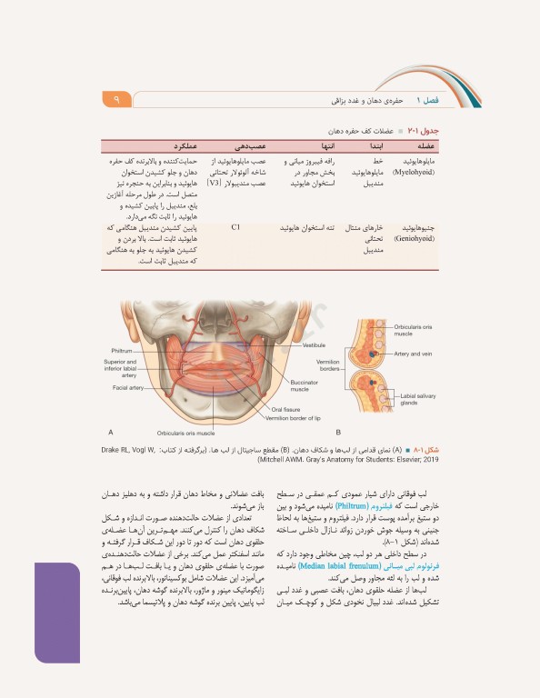 علوم تشریح برای دانشجویان پزشکی جلد6 دستگاه گوارش