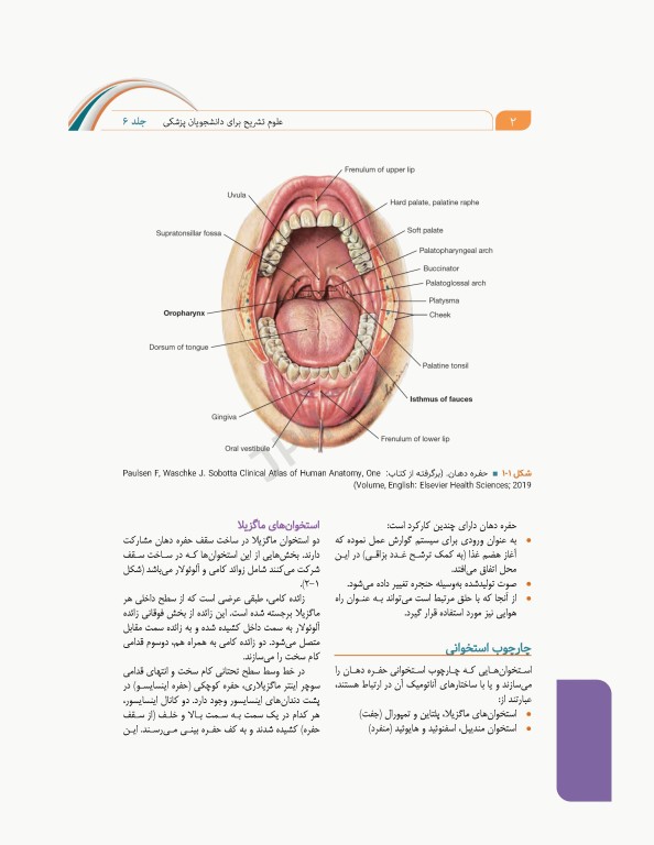 علوم تشریح برای دانشجویان پزشکی جلد6 دستگاه گوارش