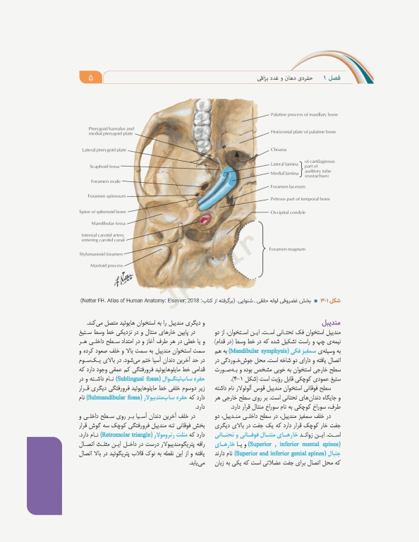 علوم تشریح برای دانشجویان پزشکی جلد6 دستگاه گوارش