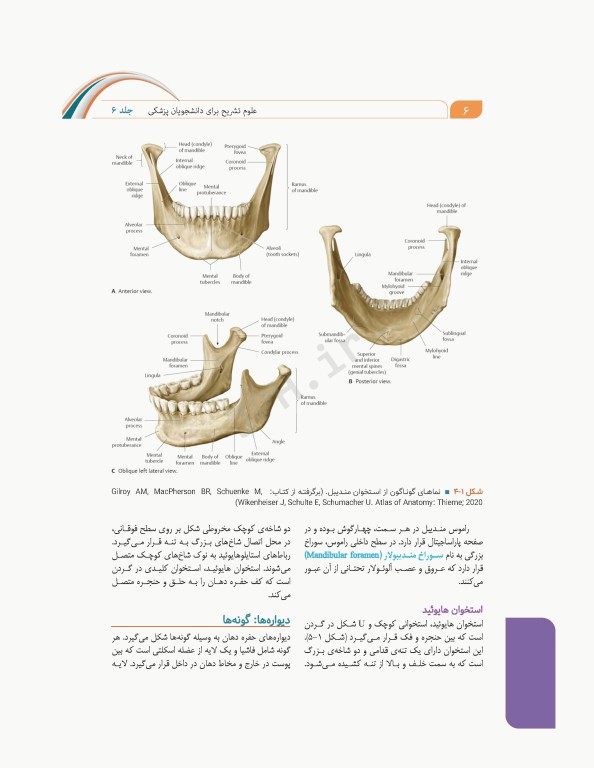 علوم تشریح برای دانشجویان پزشکی جلد6 دستگاه گوارش