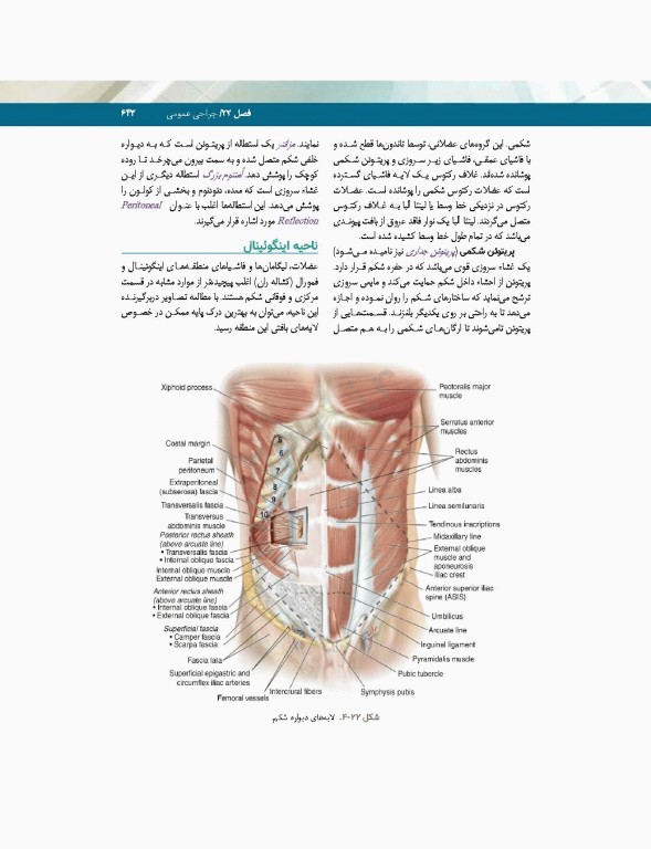 تکنولوژی جراحی فولر 2022 جلد2 جراحی‌ها