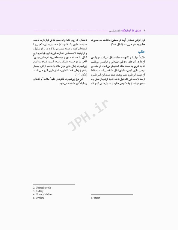 دستور کار آزمایشگاه بافت‌شناسی