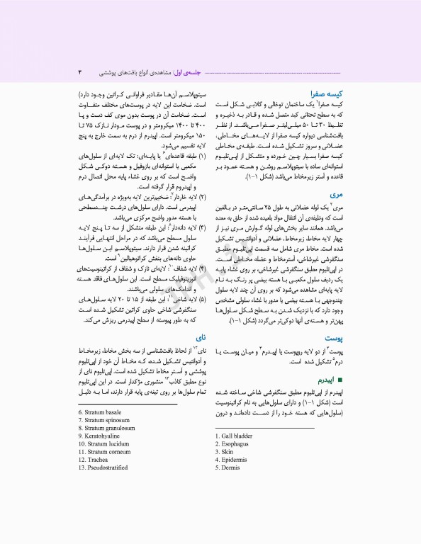 دستور کار آزمایشگاه بافت‌شناسی