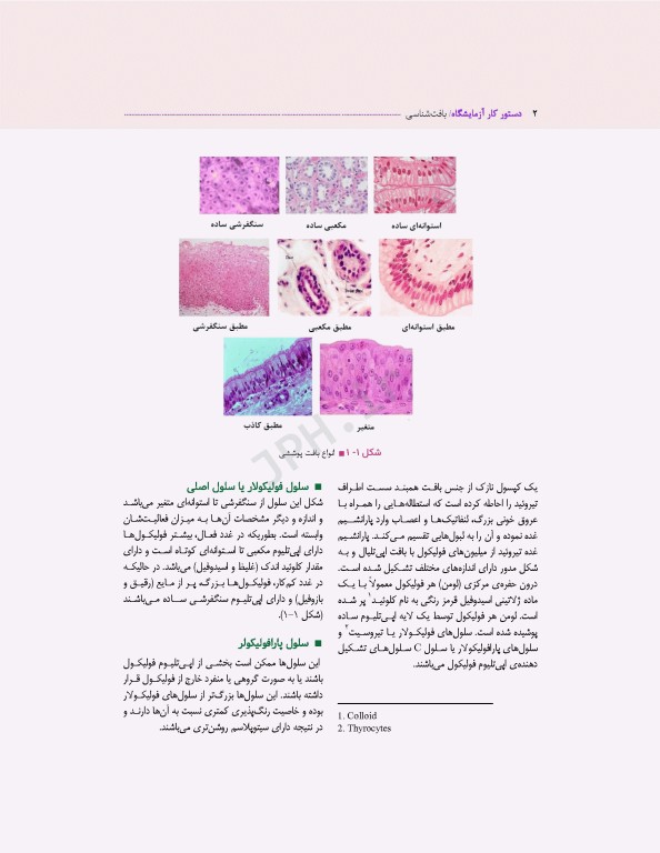 دستور کار آزمایشگاه بافت‌شناسی