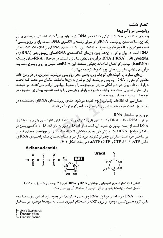 ژنتیک مولکولی 2 زیست‌شناسی RNA
