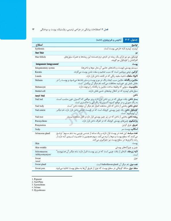 تکنولوژی جراحی ترمیمی پلاستیک پوست و سوختگی ساداتی و گلچینی